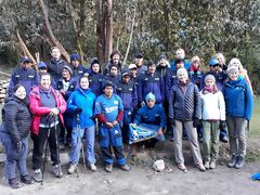 The entire group